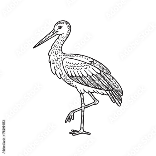 Detailed Line Drawing of a Stork in Standing Pose