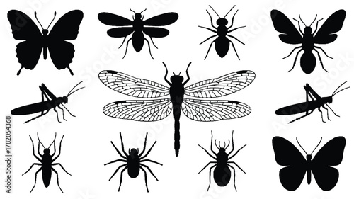 A black and white illustration featuring 11 insect silhouettes arranged in a grid pattern against a white background 
