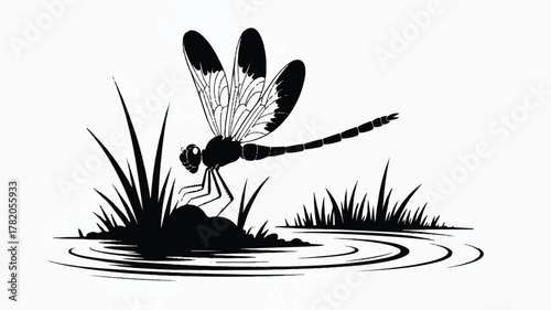 A black and white minimalist illustration of a dragonfly perched on reeds beside a pond 

