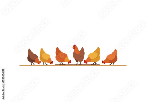 Chickens Pecking on the Ground in a Row.