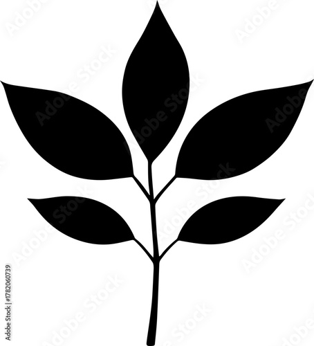 vector style floral branch transparent 