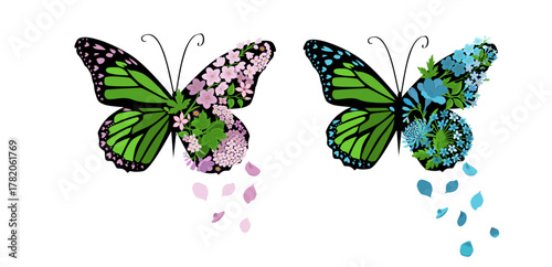 Abstract Butterflies with flowers Hand drawn. Not AI, vector illustration.