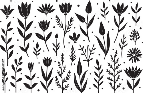 Collection of hand drawn botanical elements silhouette