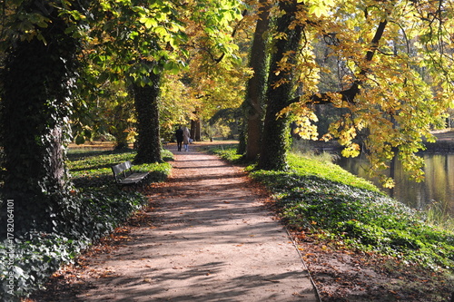 Trees with colorful leaves during foliage in autumn in an old park Lazienki in Warsaw, Poland