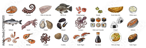 Vector food illustration colorful hand drawn seafood: sea perch, octopus, oyster, salmon