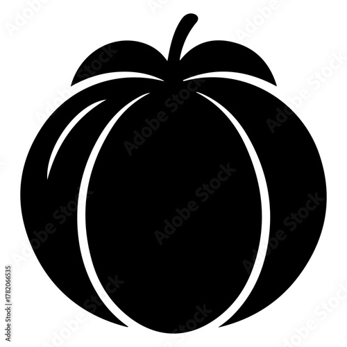 Black and white icon of a front loading washing machine