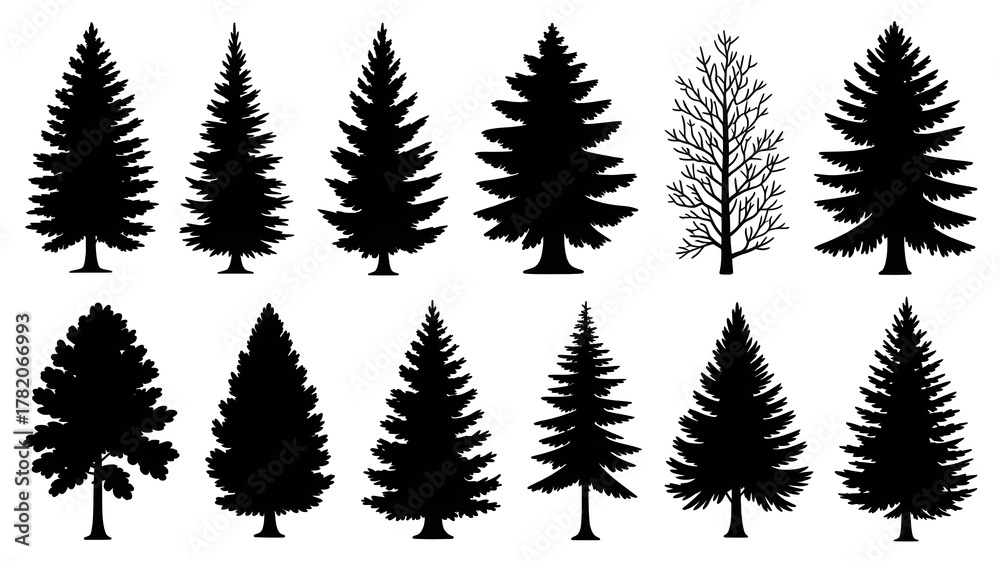 Obraz premium Collection of various pine tree silhouettes isolated on white background