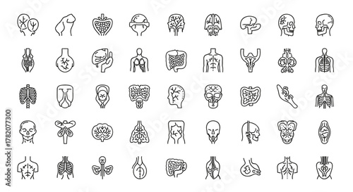 Modern thin line vector illustration set of human anatomy icons, including various organs, body parts, skeleton components, and anatomical diagrams, perfect for medical and scientific presentations