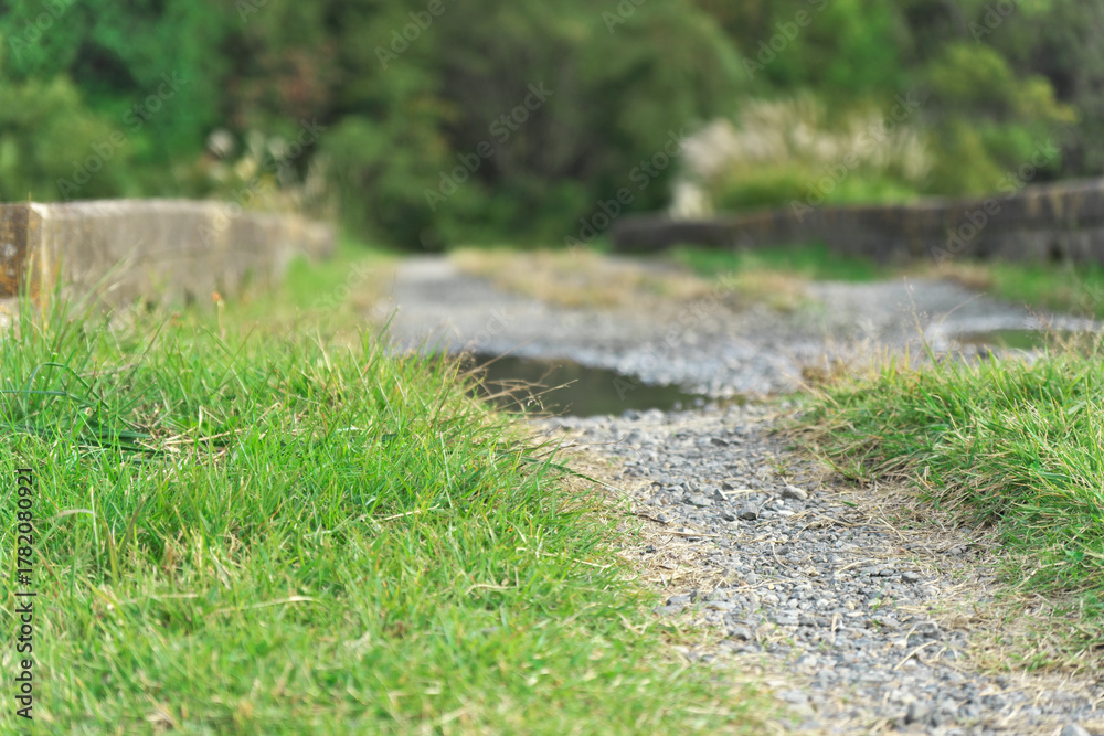Obraz premium 日本の田舎の原風景と集落｜青空の下、広がる水田とあぜ道、そして古い家屋の風景