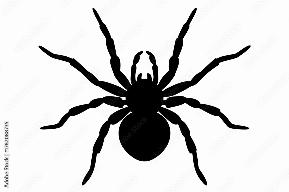 Obraz premium butterfly black vector, butterfly silhouette, butterfly icon