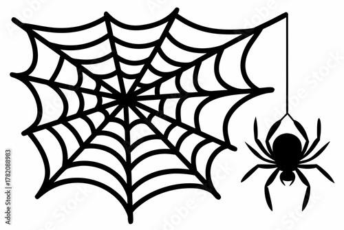 spider web hanging spider silhouette vecto