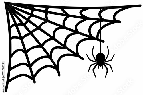 spider web hanging spider silhouette vecto