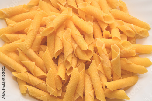 Traditional Italian Garganelli Pasta Before Cooking