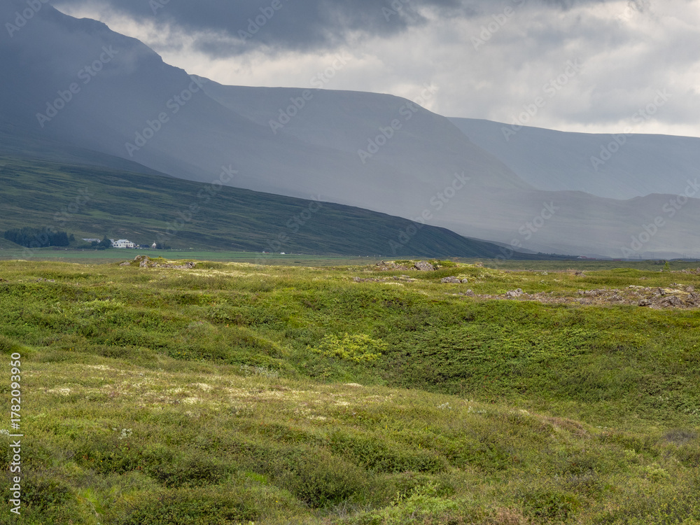Fototapeta premium mountains and landscape in Iceland