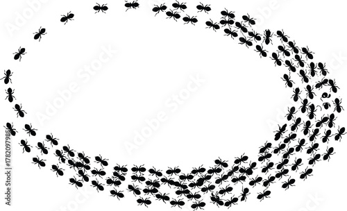 Circular trail of marching ants forming a loop, isolated insect silhouettes symbolizing teamwork, organization, movement, and collective coordination on white background
