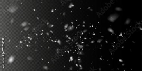 Winter Snow PNG Transparent Falling Flakes Effect.