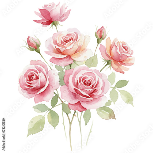 淡いピンクとオレンジのバラの水彩イラスト