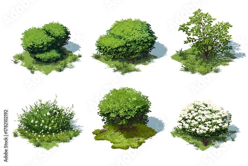 Six Varieties of Lush Green Foliage and Bushes for Landscape Design