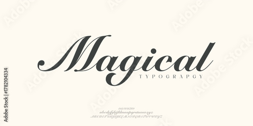 Elegant Font Uppercase Lowercase and Number. Classic Lettering Minimal Fashion Designs. Typography modern serif fonts regular decorative vintage concept. vector illustration
