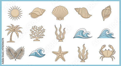 Coastal Charm Collection Seashells, Sun, and Sea Life Illustrations