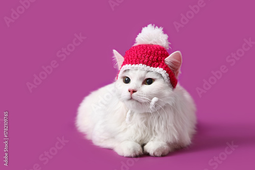 Cute white cat in funny hat...