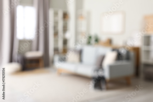 Modern interior of living room with stylish sofa, blurred view