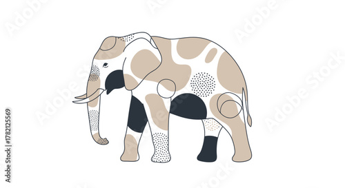 a pair of female shoes