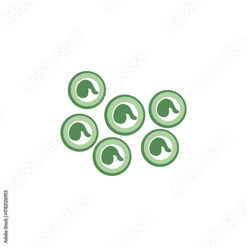 metamorphosis of frog illustration vector