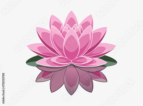 lotus flower vector illustration