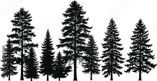 Conifer tree silhouettes, black pine forest row, evergreen nature scene, landscape illustration, vector graphic, isolated design, white background, woodland elements
