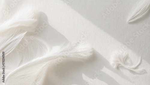 Luxurious white canvas background displaying abstract patterns and hues of natural fibers, suitable for editorial header background