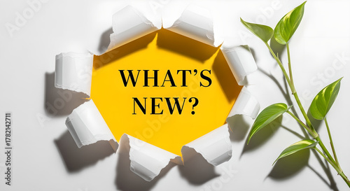 What's New Torn Paper Yellow Background Green Plant Copy Space