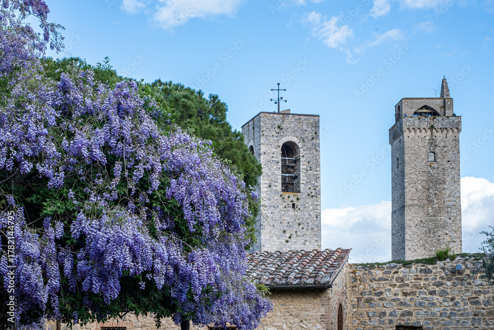 Obraz premium Wisteria flowers cascade over a stone wall, creating a stunning decoration against ancient towers under a bright sun, showcasing nature's beauty in a picturesque setting