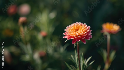 Beautiful Blooming Flower in Lush Garden, vibrant colors enhancing natural beauty