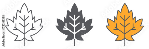 Maple leaf icon, foliage and nature, autumn leaf sign, vector graphics, a linear pattern on a white background.
