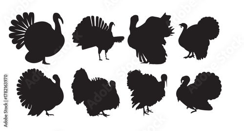 farm animal turkey in silhouette