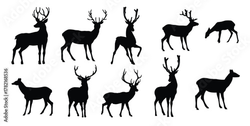 set of silhouettes of horned deer and fawn