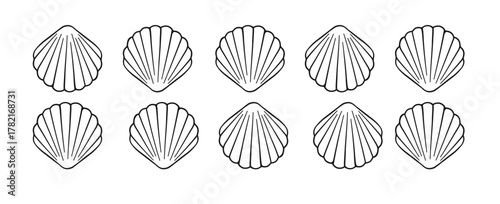 Seashells scallop border divider line art. Sea and ocean design template. Vector illustration summer or beach party, advertising design
