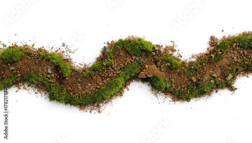 Green moss and soil on a white backdrop, ideal for natural texture backgrounds