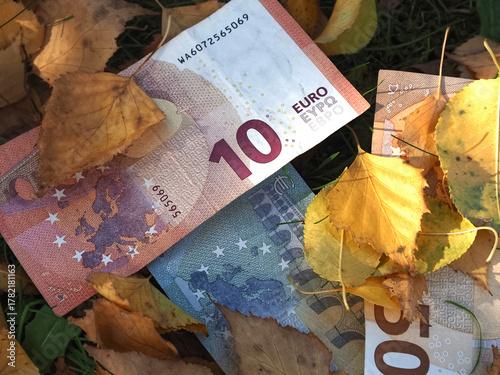 Financial situation of Europe in autumn - Euro banknotes with fallen autumn leaves