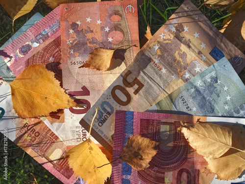 Financial situation of Europe in autumn - Euro banknotes with fallen autumn leaves