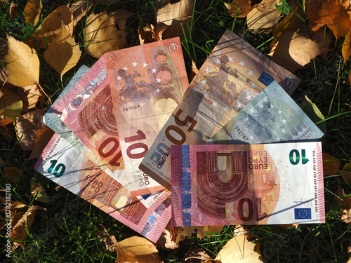 Financial situation of Europe in autumn - Euro banknotes with fallen autumn leaves
