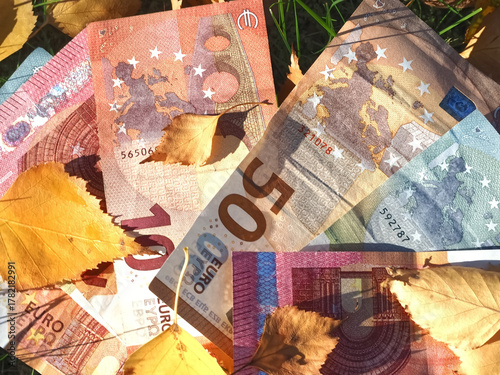 Financial situation of Europe in autumn - Euro banknotes with fallen autumn leaves