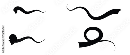 set of swash swoosh tails icon. Abstract and retro Swash Icon.