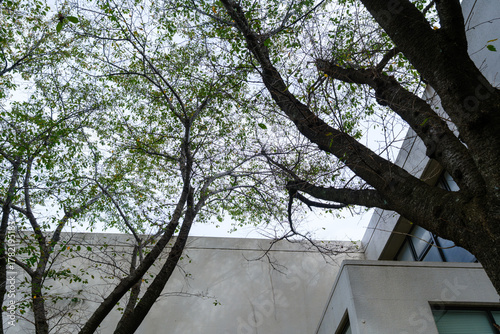 大学キャンパスの散歩の途中で見つけた秋の風景