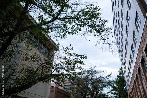 大学キャンパスの散歩の途中で見つけた秋の風景