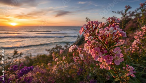 Fototapeta Naklejka Na Ścianę i Meble -  Blooming flowers against an ocean backdrop, seasonal change