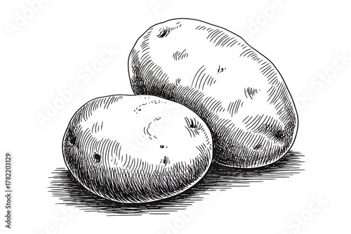 Fresh Potato Clipart Hand-Drawn Food Illustration for Culinary and Healthy Eating Designs