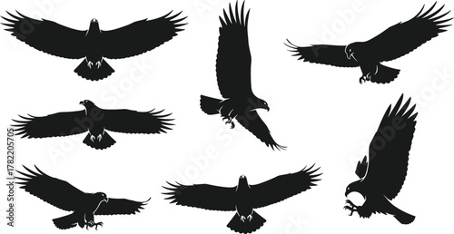 Silhouette eagles in flight and hunting poses, black outline birds, minimal vector design, dynamic wing spread, predator motion concept, wildlife illustration