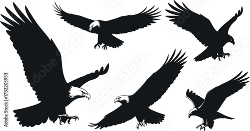 Silhouette eagles in flight and landing poses, black outline birds, minimal vector design, dynamic wing spread, freedom concept, wildlife illustration